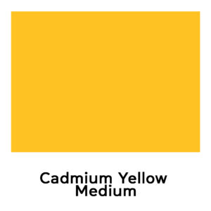 Camel Artist Acrylic Colour 40ml Paint Tubes Open Stock – Professional Grade Vibrant Acrylics for Artists