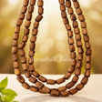 Original Tulsi Kanthi Mala – 3 Round Natural Brown Color - Retail Maharaj