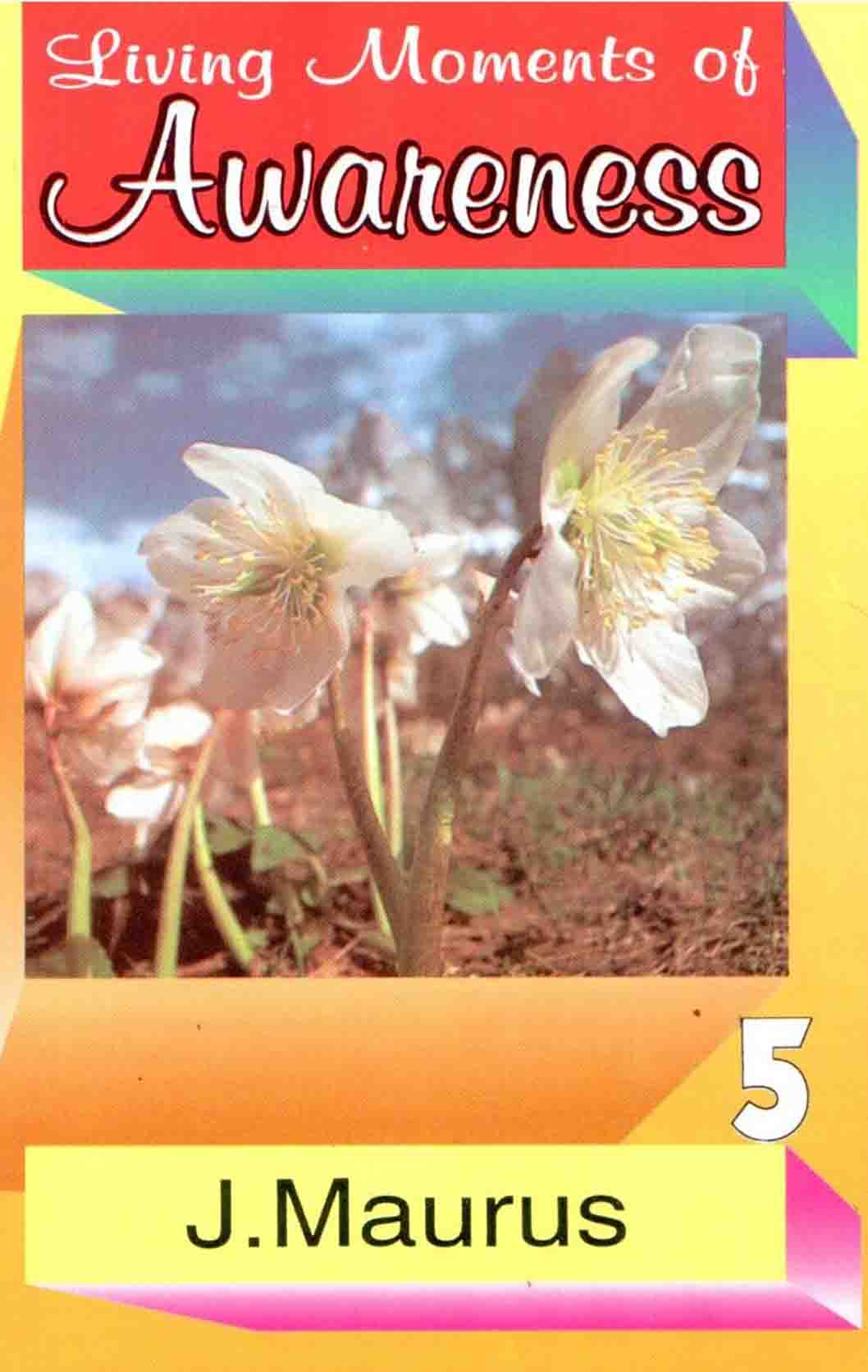 Living Moments of Awareness - Retail Maharaj