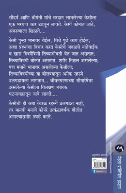 STILL LIFE - Retail Maharaj