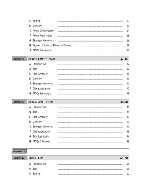 Reflections and Insights into Alternative English Literature (English Version) - Retail Maharaj