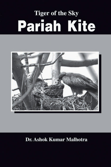Tiger of the Sky : Pariah Kite - Retail Maharaj