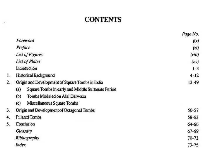 Tombs of Delhi: The Sultanate Period - Retail Maharaj