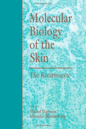 Molecular Biology of the Skin: The Keratinocyte - Retail Maharaj
