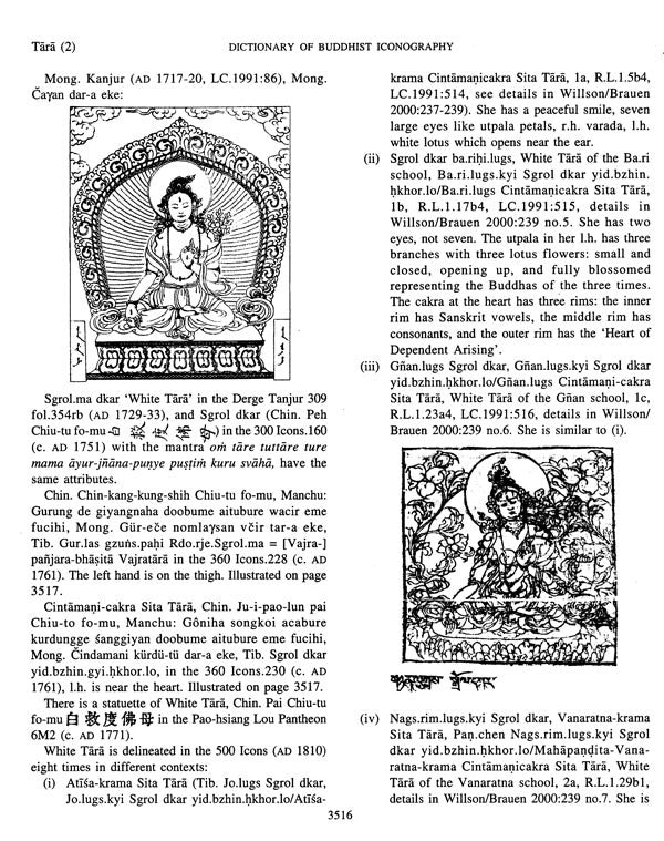Dictionary of Buddhist Iconography: Volume-12 (Spar.smehi.hkhor.lo - Tzu-tsai-yuan-mu) - Retail Maharaj
