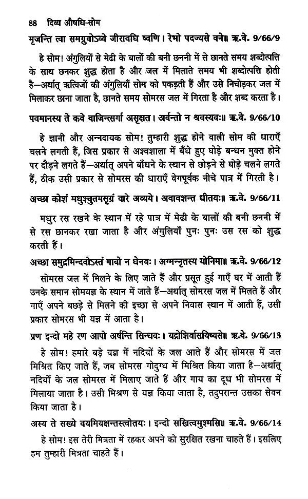 दिव्य औषधि सोम- Medicinal Divine Drink Som - Retail Maharaj