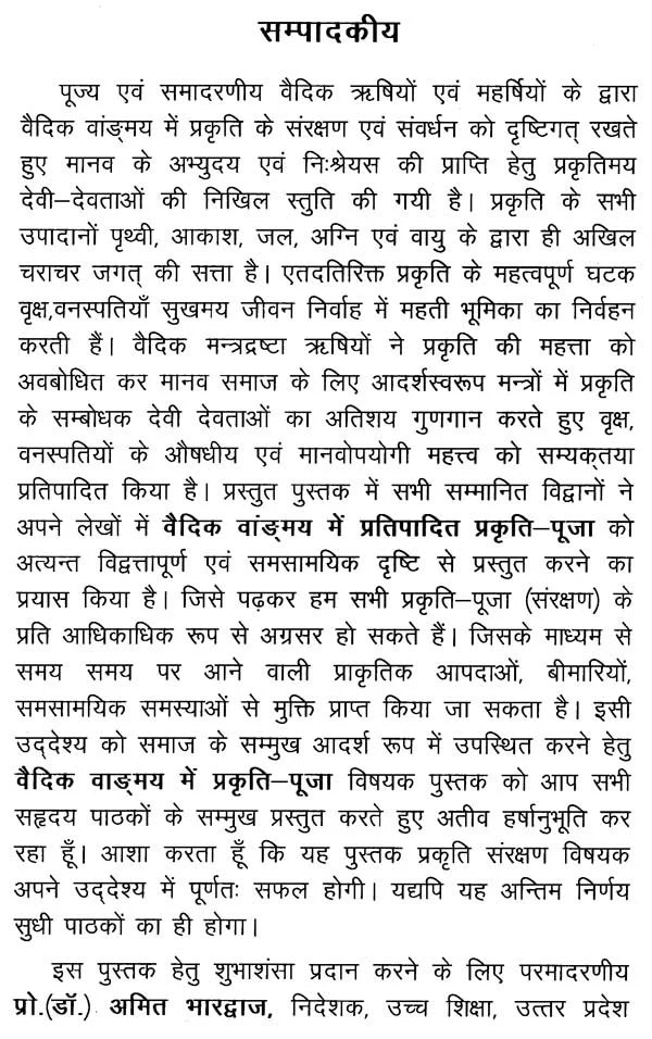 Nature-Worship in Vedic Literature - Retail Maharaj