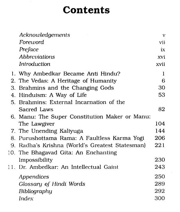 Dr. Baba Saheb Ambedkar and Brahmanism - Retail Maharaj