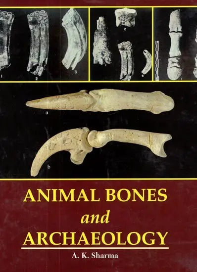 Animal Bones and Archaeology - Retail Maharaj
