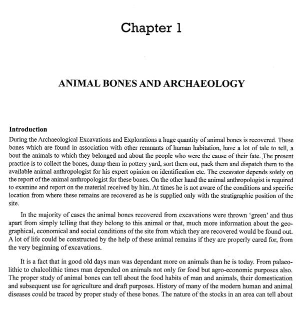 Animal Bones and Archaeology - Retail Maharaj