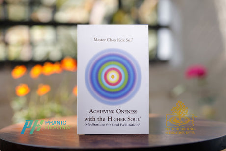 Achieving Oneness with the Higher Soul - English / Hindi / Gujarati - Retail Maharaj