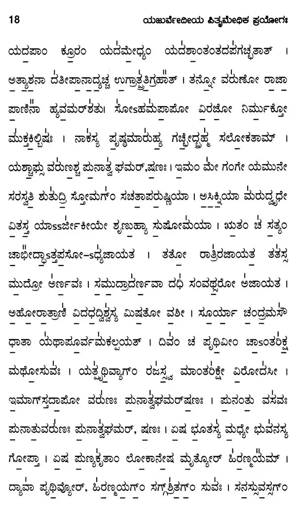 Yajurvedic Pitrimedhika Experiment (with First Dinadar-Chaturdah Stage Experiment-Tantra)- Kannada - Retail Maharaj