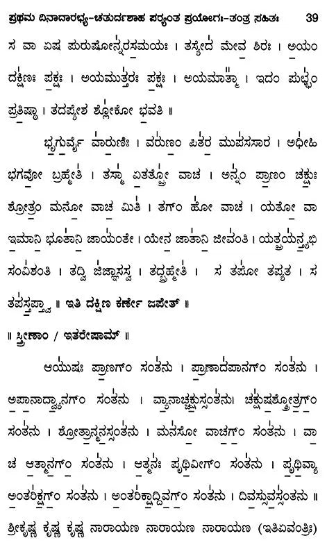 Yajurvedic Pitrimedhika Experiment (with First Dinadar-Chaturdah Stage Experiment-Tantra)- Kannada - Retail Maharaj