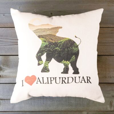 Set of 4 Cushion Covers – Alipurduar - Retail Maharaj