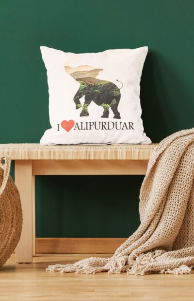 Set of 4 Cushion Covers – Alipurduar - Retail Maharaj