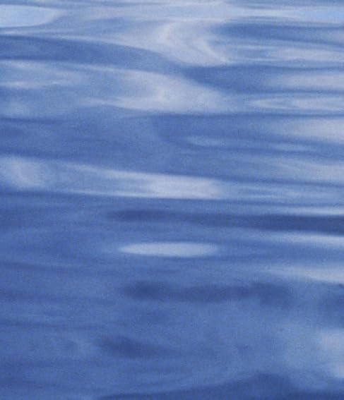 Prostaglandins in the Cardiovascular System: 37 - Retail Maharaj