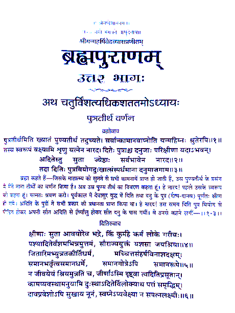 ब्रह्मपुराणम्  Brahmapuranam - Retail Maharaj