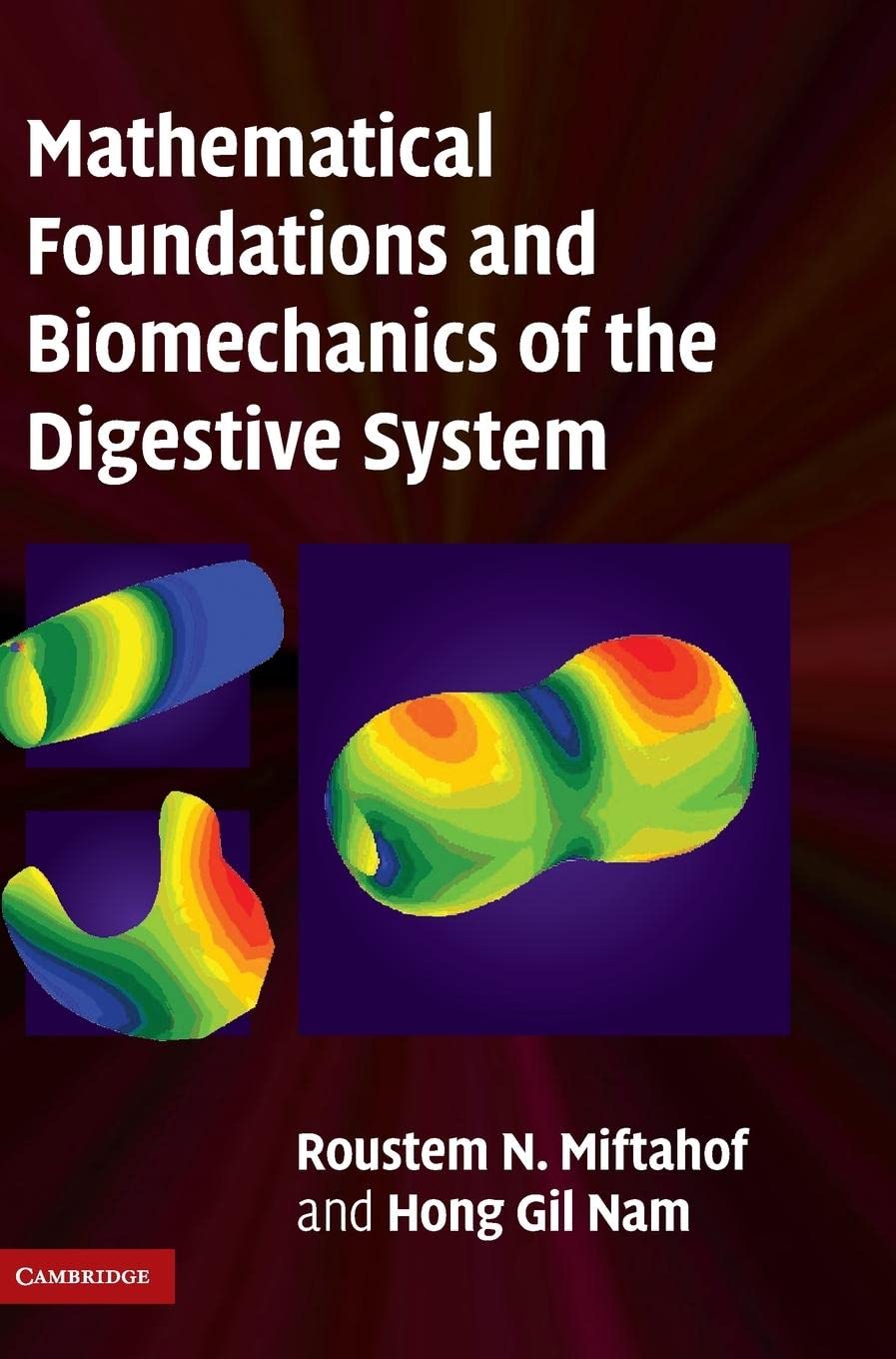 Mathematical Foundations and Biomechanics of the Digestive System - Retail Maharaj