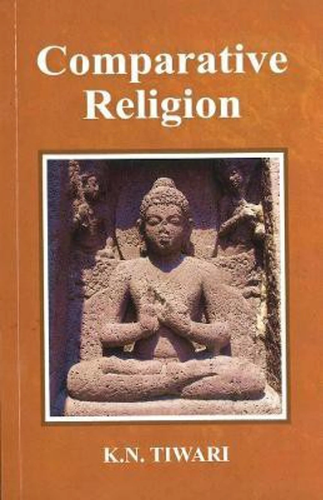 Comparative Religion - Retail Maharaj