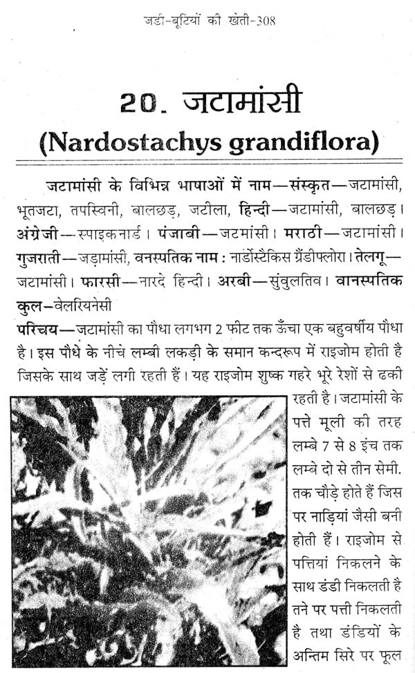 जड़ी बूटियों की खेती (लाभदायक मशरूम की खेती सहित) - Cultivation of Herbs (Including Profitable Mushroom Cultivation) - Retail Maharaj