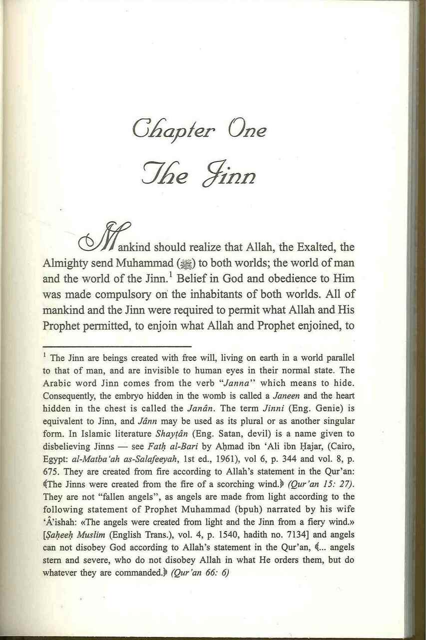 The Freedom of Opinion In Islam - Retail Maharaj