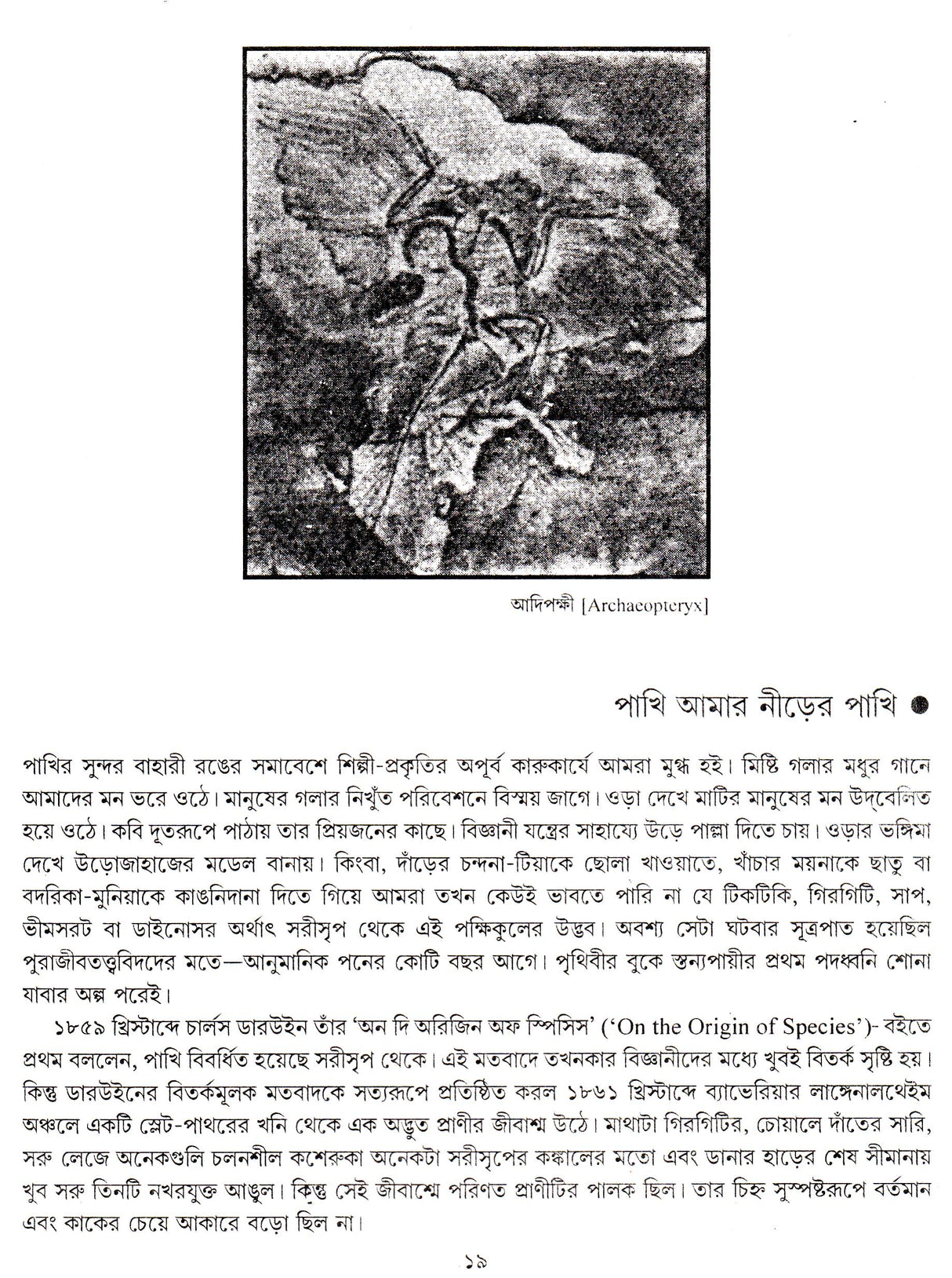 BANGLAR PAKHI - Retail Maharaj