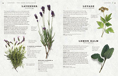 The Herb Garden for Cooks - Retail Maharaj