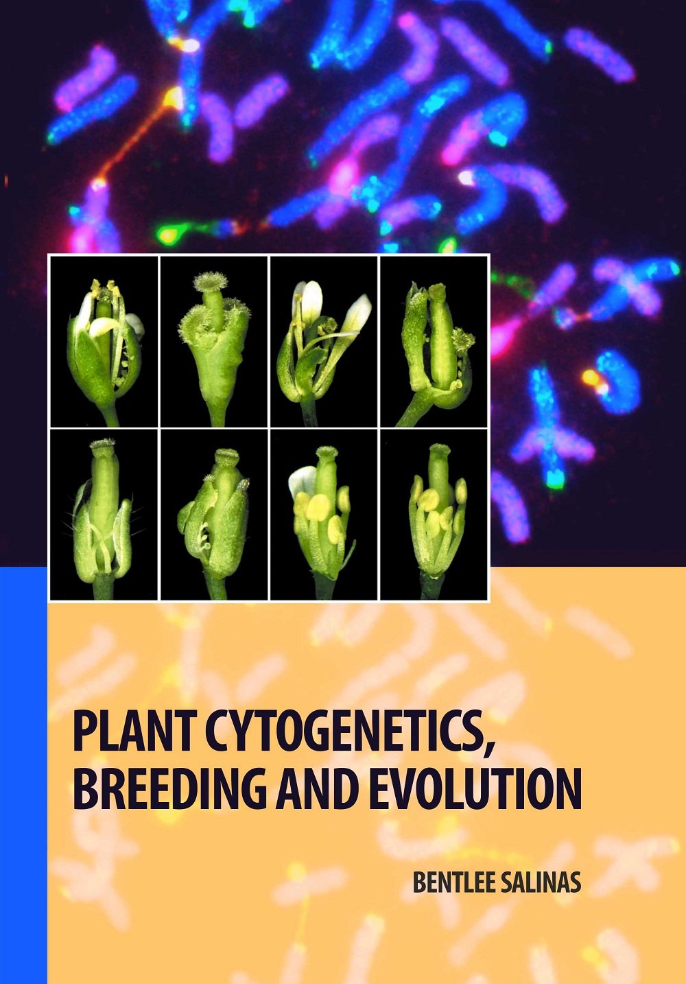 Plant Cytogenetics, Breeding and Evolution by Bentlee Salinas - Retail Maharaj