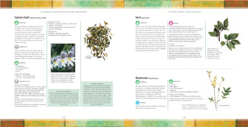 Natural Home Remedies: Safe and Effective Treatments for Common Ailments (The Complete Illustrated Guide to) - Retail Maharaj