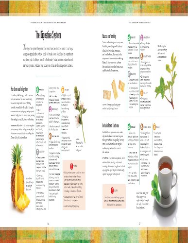 Natural Home Remedies: Safe and Effective Treatments for Common Ailments (The Complete Illustrated Guide to) - Retail Maharaj