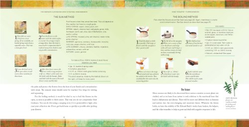 Natural Home Remedies: Safe and Effective Treatments for Common Ailments (The Complete Illustrated Guide to) - Retail Maharaj