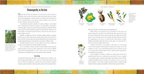 Natural Home Remedies: Safe and Effective Treatments for Common Ailments (The Complete Illustrated Guide to) - Retail Maharaj