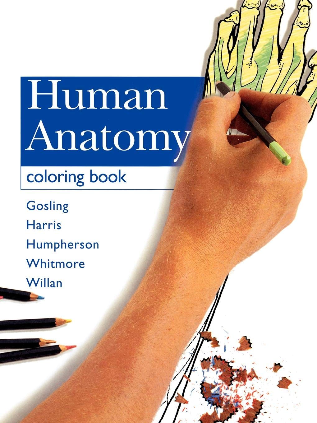 Human Anatomy Coloring Book - Retail Maharaj