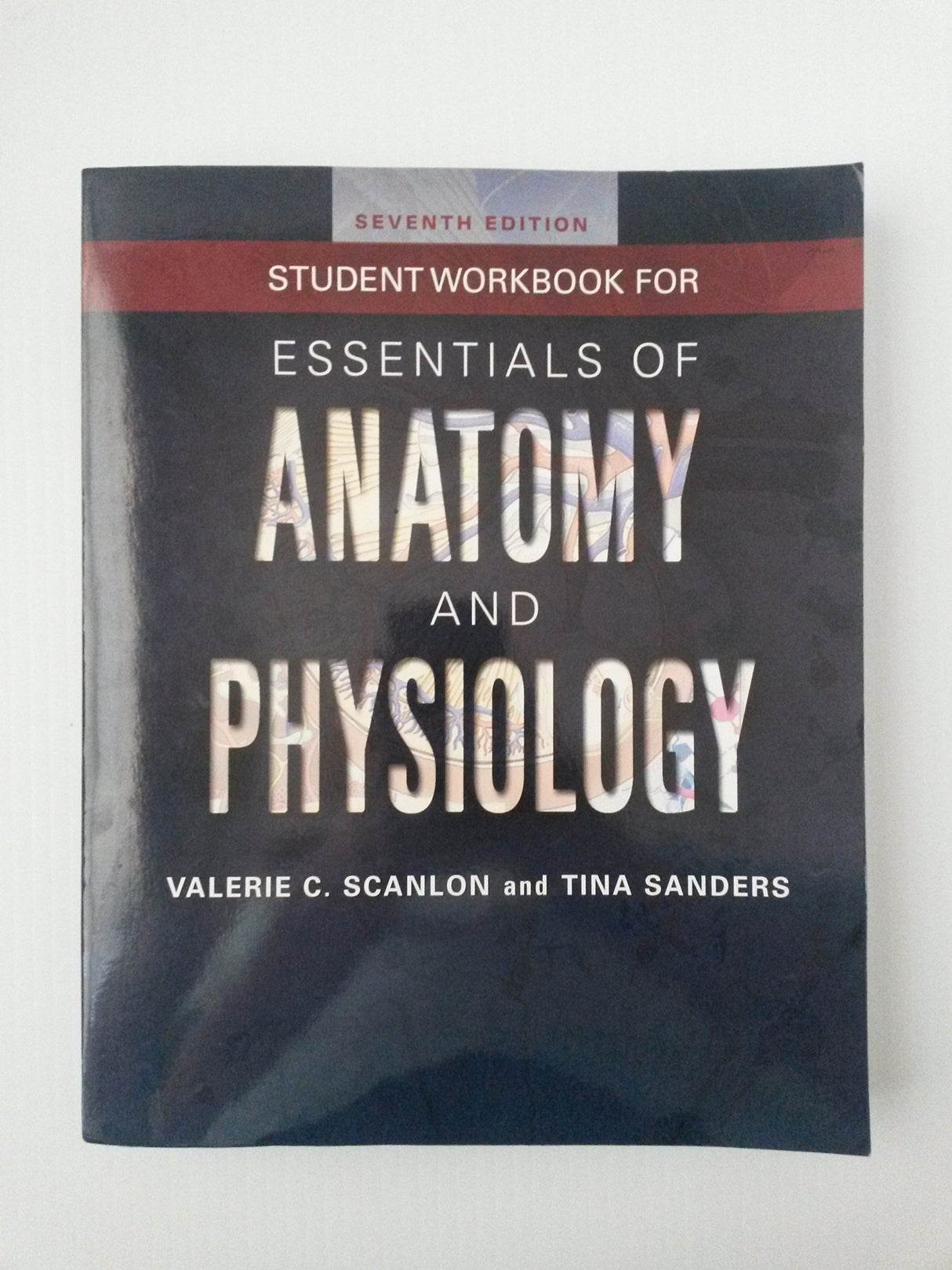 Student Workbook for Essentials of Anatomy and Physiology 7e - Retail Maharaj