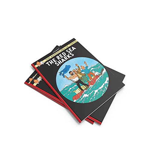 Red Sea Sharks - Retail Maharaj