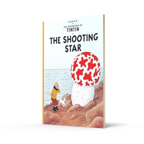 The Shooting Star - Retail Maharaj