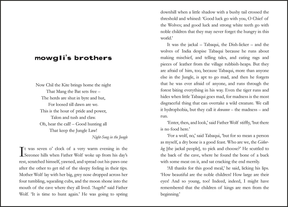 The Jungle Book - Retail Maharaj