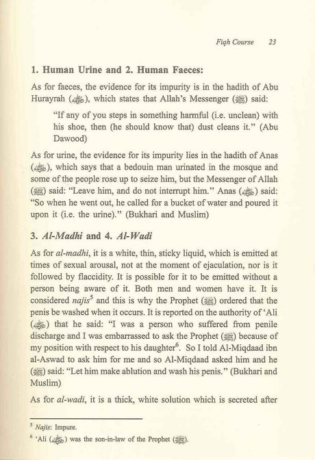 The Evolution of Fiqh: Islamic Law and the Madh-habs - Retail Maharaj