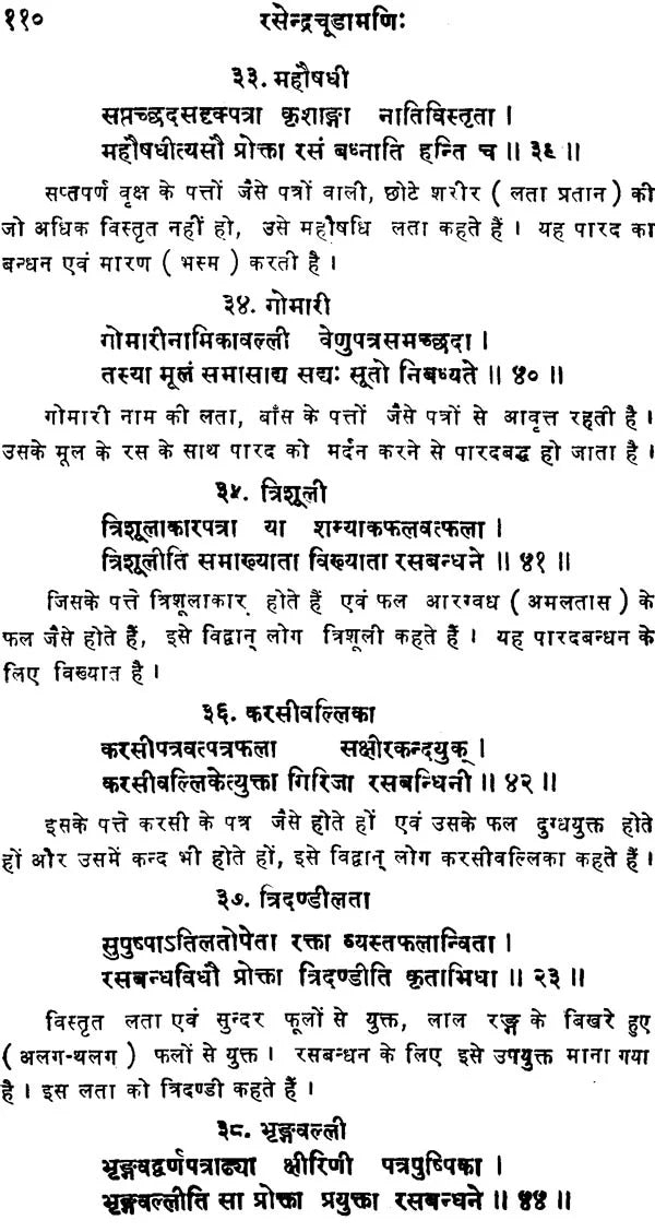 रसेन्द्रचूड़ामणि ("सिध्दि प्रदा"- हिन्दी व्याख्या सहित)- Rasendra Chudamani - Retail Maharaj