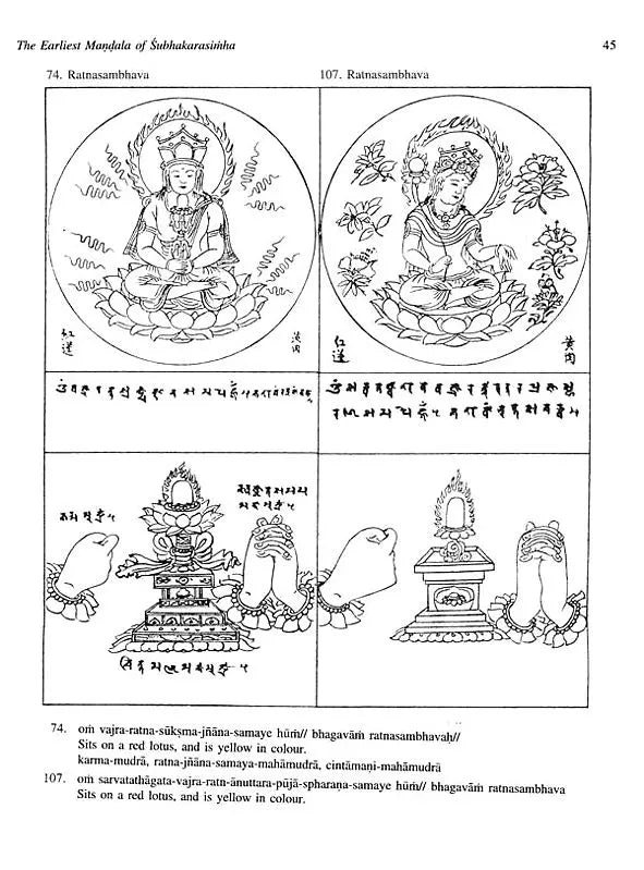 The Earliest Mandala of Subhakarasimha (637-735 CE) - Retail Maharaj