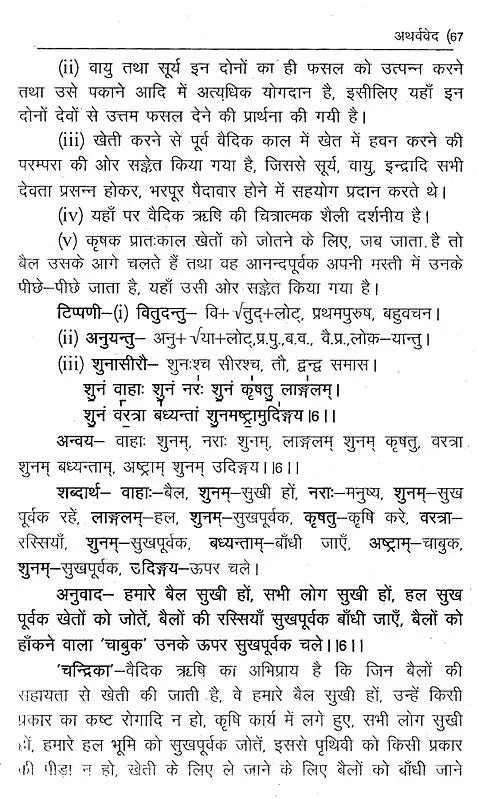 वेदवेदाङ्गकलिका- Veda Vedanga Kalika (Part-3) - Retail Maharaj