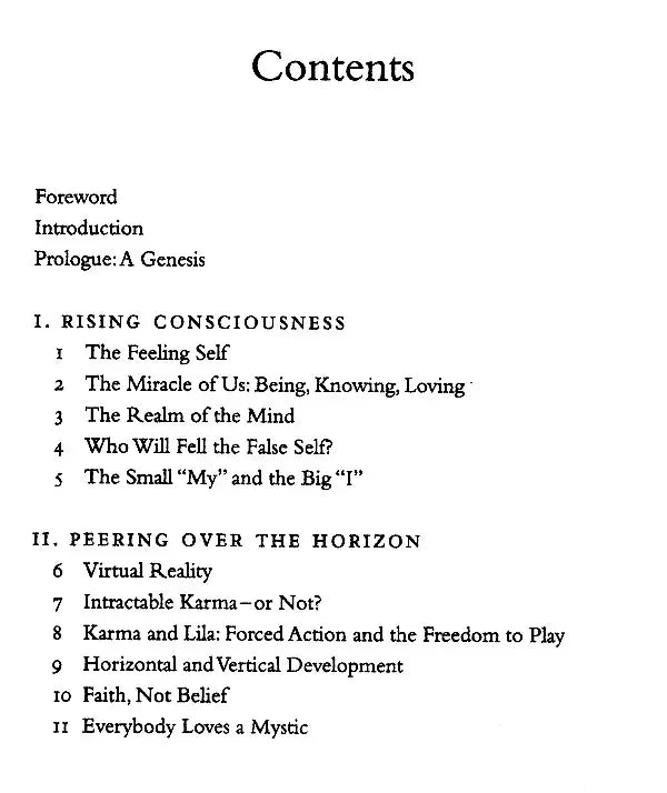 Wise Love: Bhakti and the Search for the Soul of Consciousness - Retail Maharaj