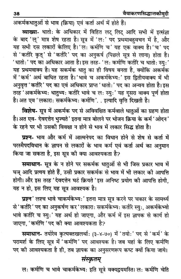 वैयाकरणसिद्धान्तकौमुदी: Vaiyakaran Siddhanta Kaumudi - Retail Maharaj