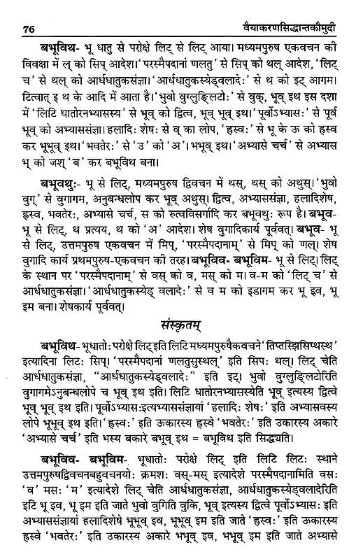 वैयाकरणसिद्धान्तकौमुदी: Vaiyakaran Siddhanta Kaumudi - Retail Maharaj