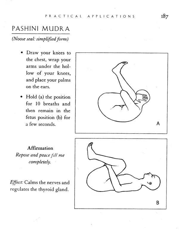 Mudras: Yoga in Your Hands (Alternative Medicine Series) - Retail Maharaj