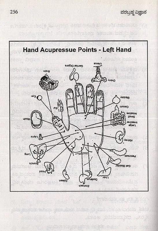 Parabrahma Vijnana- Unique Spiritual Science in Kannada - Retail Maharaj