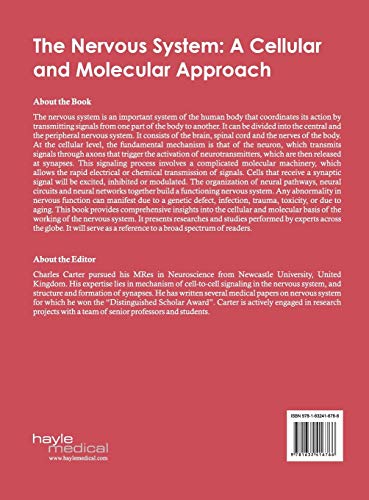 The Nervous System: A Cellular and Molecular Approach - Retail Maharaj