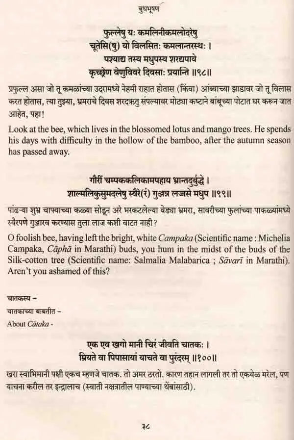 बुधभूषण: Budhabhusana - Retail Maharaj