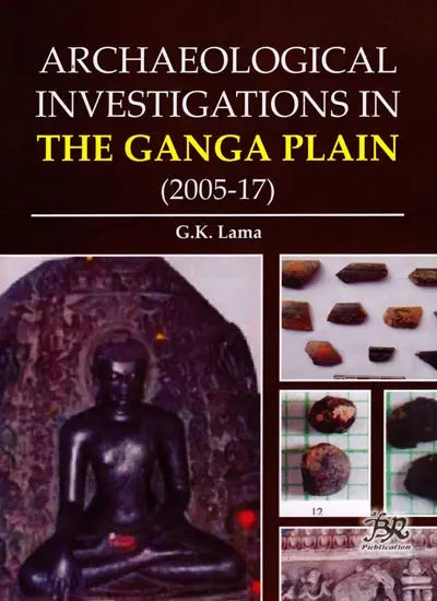 Archaeological Investigations in the Ganga Plain (2005-17) - Retail Maharaj