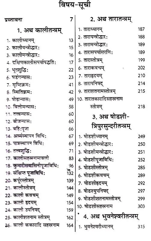 शाक्तप्रमोद- दश महाविद्या : शक्ति तन्त्र साधना: Shaktapramod- Ten Mahavidya: Shakti Tantra Sadhana - Retail Maharaj